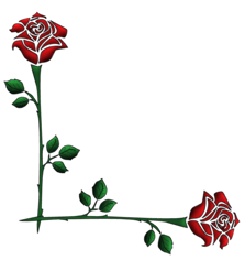ce36170c.png